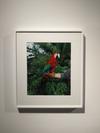 Tomato Target #AnnetteKelm #exhibition #ausstellung #photography @kunsthallewien