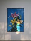 hanspeterfeldmann #blumenbild #botanicas #botanicgardenmadrid